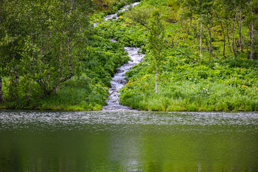 Similar image 22283432