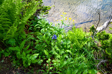 Similar image 22283434