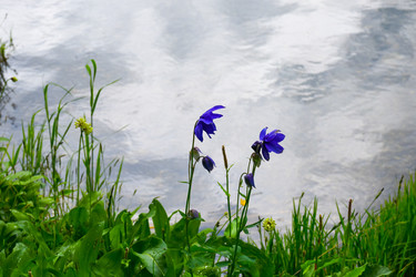 Similar image 22283437