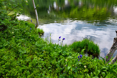 Similar image 22283438