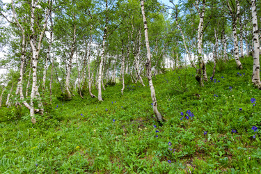 Similar image 22283439