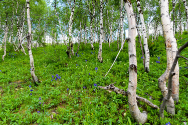 Similar image 22283440