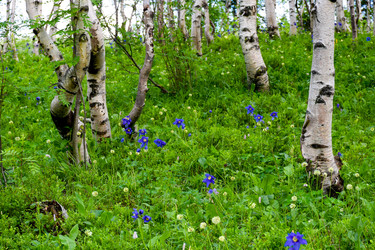 Similar image 22283441