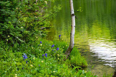 Similar image 22283442