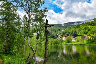 Similar image 22283445