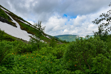 Similar image 22283450