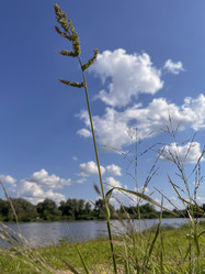 Similar image 22284590