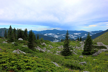 Similar image 22284335