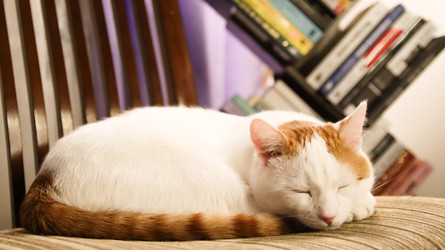 Similar image 22284336