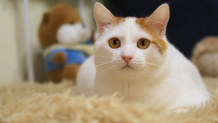 Similar image 22284337