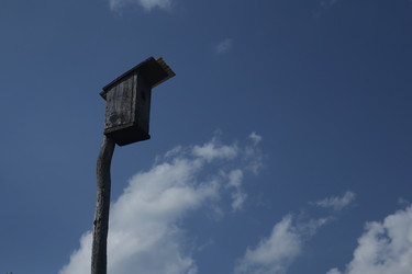 Similar image 22284339