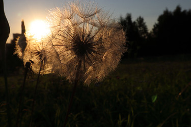 Similar image 22284341