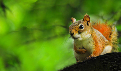 Similar image 22283611