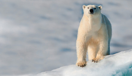 Similar image 22283613