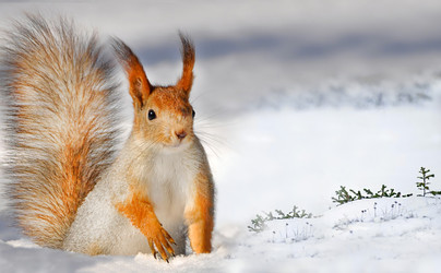 Similar image 22283614