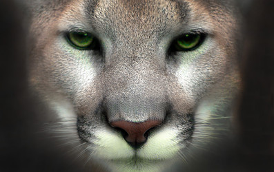 Similar image 22283615