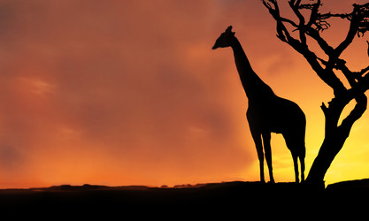 Similar image 22283616