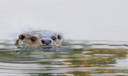 Similar image 22283617