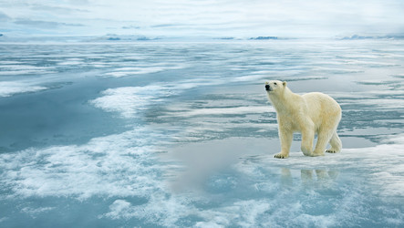 Similar image 22283619