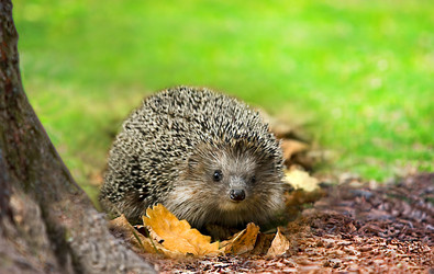 Similar image 22283620