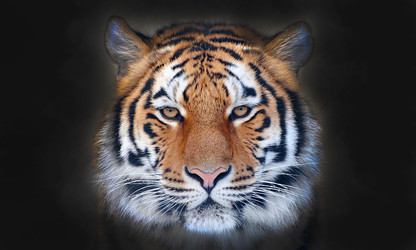 Similar image 22283621