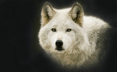 Similar image 22283622