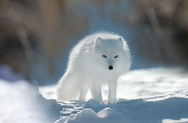 Similar image 22284458