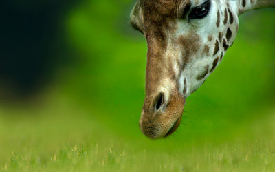 Similar image 22284044