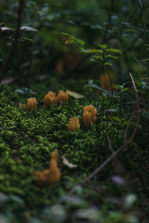 Similar image 22285611