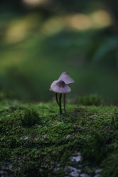 Similar image 22284345