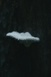 Similar image 22285612