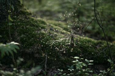 Similar image 22285613