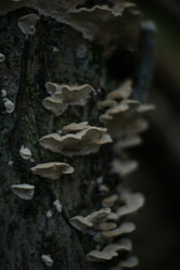 Similar image 22285614