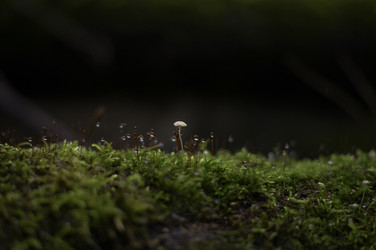 Similar image 22285615