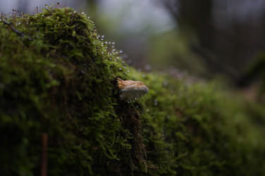 Similar image 22284346