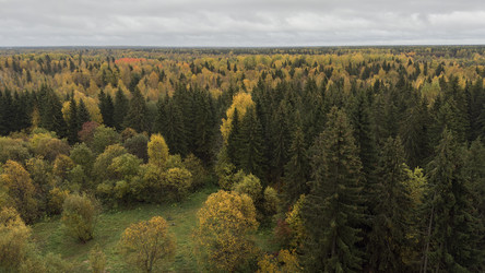 Similar image 22284347