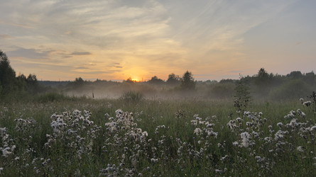 Similar image 22284357