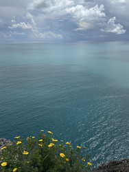 Similar image 22284360