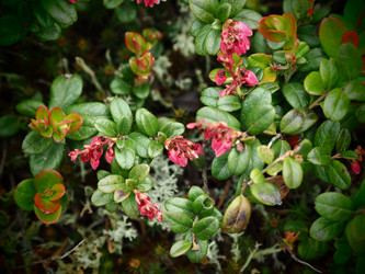 Similar image 22284591