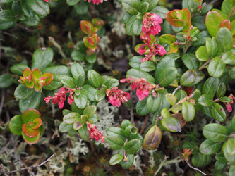 Similar image 22284592