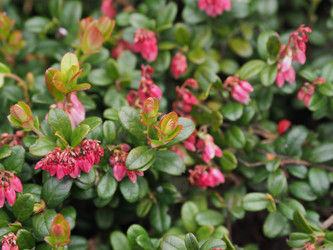 Similar image 22284593