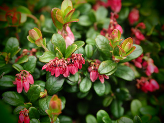 Similar image 22284596