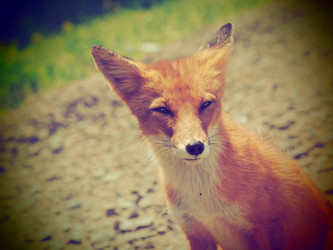 Similar image 22284597