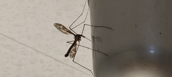 Similar image 22283626