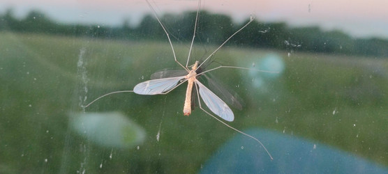 Similar image 22283627