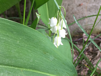 Similar image 22283634