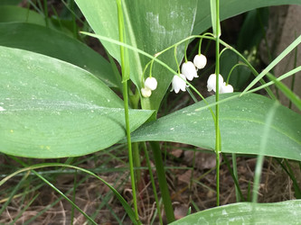 Similar image 22283635