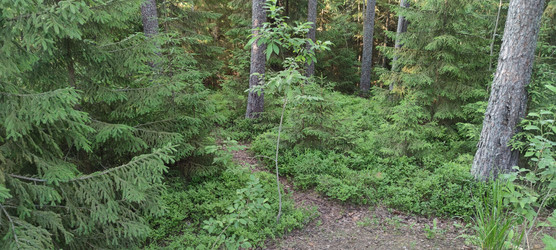 Similar image 22283637