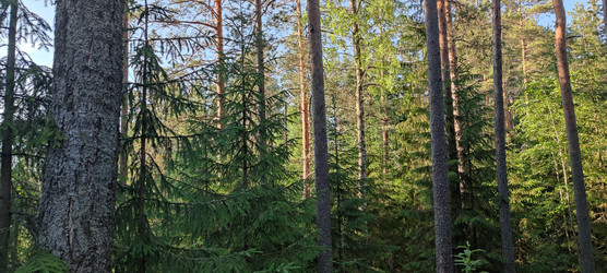 Similar image 22283638