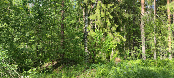 Similar image 22283639